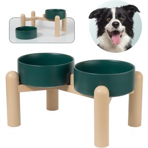 Elevated Ceramic Dog Bowl Set - Heavy Duty Double Dishes with Anti-Slip Stand - Raised Food and Water Bowls for Medium and Large Dogs - 4.5 Cups (68 fl oz) - Green