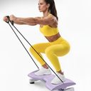 Yolid Waist Twist Machine, Twist Machine Exercise with 300 Lbs Weight Capacity, Ab Twist Board for Slim Waist and Core Ab Exercise,Noiseless Home Gym Equipment for Women Men (Purple)