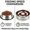 AIPERRO Slow Feeder Dog Bowl Stainless Steel, 2 Cups Metal Non-Slip Dog Food Bowls, Dogs Water Bowl for Small & Medium Sized Dogs, Fun Bloat Stop Pet Bowl for Fast Eaters, Slows Down Pets Eating