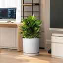 Eightpot Ceramic Pots for Plants 12 Inch - Large Ceramic Planters for Indoor Plants Outdoor Modern Flower Pot with Drainage Holes and Saucer for Office Garden Patio White