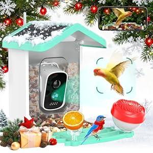 Smart Bird Feeder with Camera, AI Bird Recognition cam, Outdoor Solar Birds Feeder, Auto Capture of Videos & Photos, Ideal Present for Backyard Birds Lovers (Green)