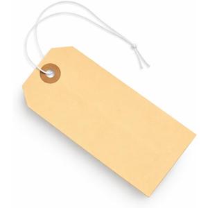 Tags with Elastic String Attached - #5, 4 3/4" x 2 3/8" Box of 100 Manila Paper Label Tags with Elastic Loop and Reinforced Hole