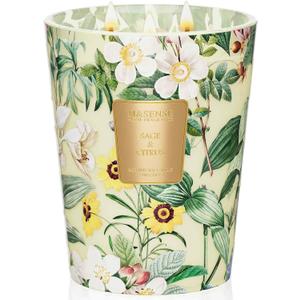 M&SENSE Sage Citrus Large Soy Scented Candle, 3-Wick 35oz 150H Long Lasting Aromatherapy Candle, Kitchen Freshness, Home Decor & Perfect for Moms