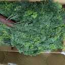 24.5 Inch Set of 2 Topiary Cedar Trees Artificial Outdoor