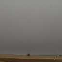 25pcs 1/2" D Thicker Heavy Duty Bamboo Stakes, 4FT Plant Stakes, Natural Garden Stakes for Tomato, Bean, Flowers,Trees Potted and Climbing Plant Support