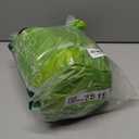 COMIN Inflatable Dinosaur Costume Adult Riding T Rex Funny Dress Halloween Costume for Men Women (63'')