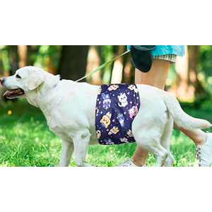 5 Pack Dog Diapers Male, Premium Belly Bands for Male Dogs, High Absorbing Male Dog Pee Wraps for Doggie in Incontinence or Excitable Urination and Training M