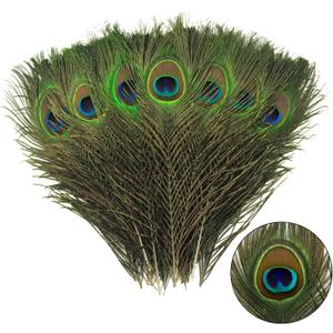 THARAHT 24pcs Peacock Feather Natural in Bulk 10-12 inch 25-30cm for Vase Craft Vase Wedding Home Party Christmas Day Decoration Peacock Feathers