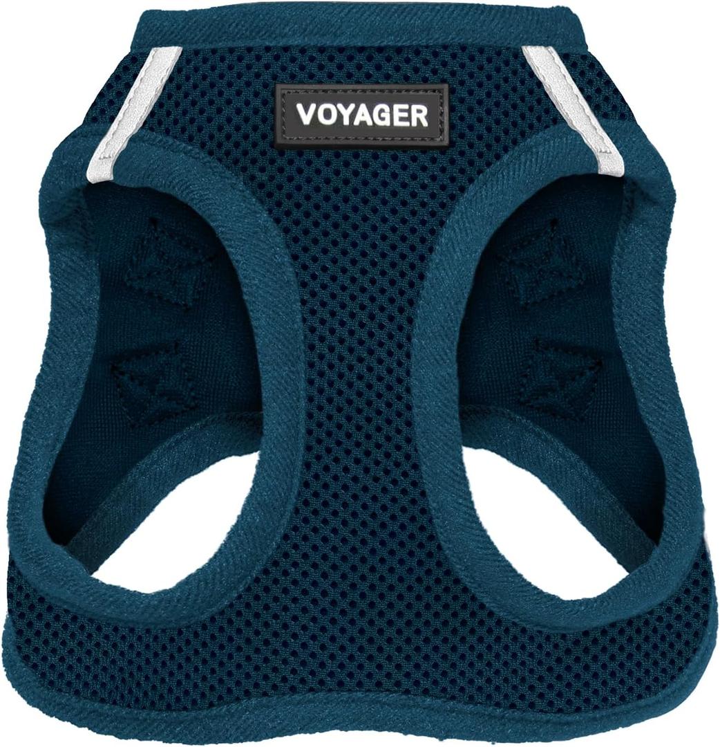 Best Pet Supplies Voyager Step-in Air Harness - All Weather Mesh, Reflective, No Pull Harness for Dogs, Cats - Secure with Hook & Loop Fastener, Buckle, Double D-Rings - Blue, XS (XS (Chest: 13 - 14.5"))