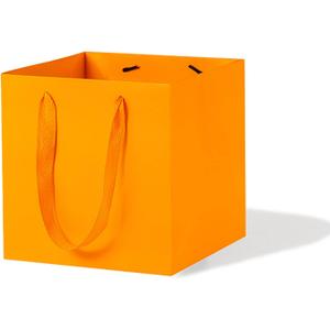 LFCXHTY Orange Square Gift Bags Small Square Paper Bag with Handles for Party Favor, Birthday Gift Bags (8 x 8 x 8 in, 20 CT)