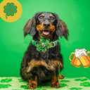 Lionheart glory St. Patrick's Day Dog Collar with Flower-Lucky Clover Shamrock Dog Bow Collar for Medium Dogs Green Spring Trefoil Dog Collar Flowers Adjustable Heavy-Duty Collar Pet Gift (Medium (Pack of 1)