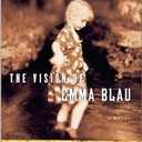 The Vision of Emma Blau : A Novel by Ursula Hegi (2001, 0684872730 Paperback)