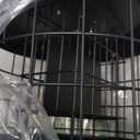 Kingsyard Squirrel Proof Suet Feeder, Cage Bird Feeders for Outdoors Hanging, All Metal, Double Suet Cake Capacity, Tray & Weatherproof, Black