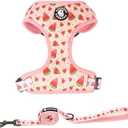 Coowone Dog Harness and Leash Set, Adjustable Puppy Harness and Soft Padded Dog Vest Harness for Small Medium Large Dogs, XS