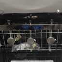 Amazon.com: FineFlame Camping Stove, 3 Burner Propane Portable Camp Stove with Regulator, Push-Button Instant Ignition, Portable Camp Grill, Adjustable Burners for Car Camping Outdoor Cooking (BLACK-19800 BTUs) : Sports & Outdoors