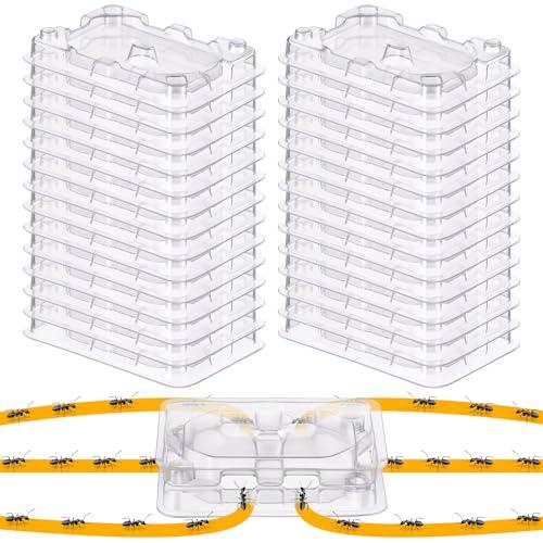 Qualirey 32 Pcs Ant Bait Stations Reusable (Bait NOT Included), Multi Surface Ant Killer Trap for Home, Control for Indoor and Outdoor Use, Roach Station for Common Household (16 Set, Standard Size)