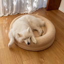 BarneyCurl Bed Round Beige Dog Bed Cover 30"