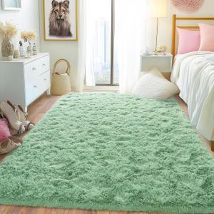 Fluffy Area Rug for Bedroom 4x6 Feet, Indoor Plush Carpet, Shag Soft Bedside Rug, Cute Comfy Furry Rug for Living Room Dorm Girls Boys Room Nursery Decor, Mint Green