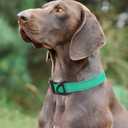 2 x Taglory Reflective Adjustable Dog Collars for Puppy Small Medium Large Dogs, Thin Nylon Webbing and Quick Release Plastic Buckle(Teal Green, X-Large) (XL(1.25"x18-28"))