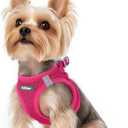rabbitgoo Small Dog Harness, Step-in Soft Mesh Puppy Vest with Safety Buckle, Breathable Reflective Pet Harness for  Dogs, Rose Red XS 