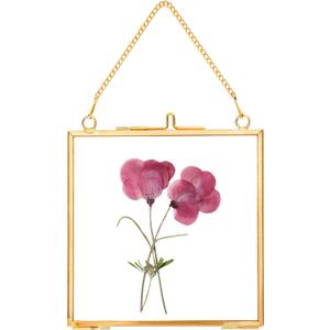 Glass Pressed Flower Frames,Vintage Hanging Picture Frames with Chain,Handmade Brass Floating Picture Frame,Plant Specimen Wall Ornament Display Artwork DIY Family Photo,Square,Gold,4x4 Inches (4L" x 4W")