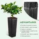 DOITOOL 50Pcs Plastic Deep Plant Nursery Pots, 11.2" Tall Tree Pot Black Seedling Treepots Flower Plant Container with Drainage Holes for Indoor Outdoor Gardening (11.2" H X 3" W)
