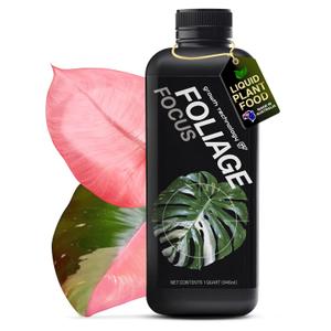 Growth Technology GT Foliage Focus - Liquid Indoor Plant Food for Houseplants, Tropical Plants, Aroids, Ferns and Palms  Concentrated Formula for Vibrant Leaves and Dense Foliage  1 Quart (946 mL)