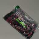 Foco NFL Unisex-Adult 3D BRXLZ Team Logo Football (1Z Version)