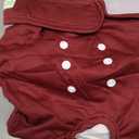 wegreeco Washable Female Dog Diapers (Pack of 3), XL