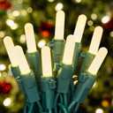 woohaha Clear Christmas Lights 2PACK 50Count 16Feet LED Bulb Mini String Lights for Indoor Xmas Tree Garland Birthday Wedding Party Festival Decoration, Green WireWarm White