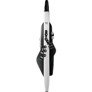 Roland AE-20 Aerophone | Premium Digital Wind Instrument | SuperNATURAL Acoustic Tones & Advanced ZEN-Core Technology | Ultra-Responsive Playability | Over 250 Sounds | Bluetooth Connectivity