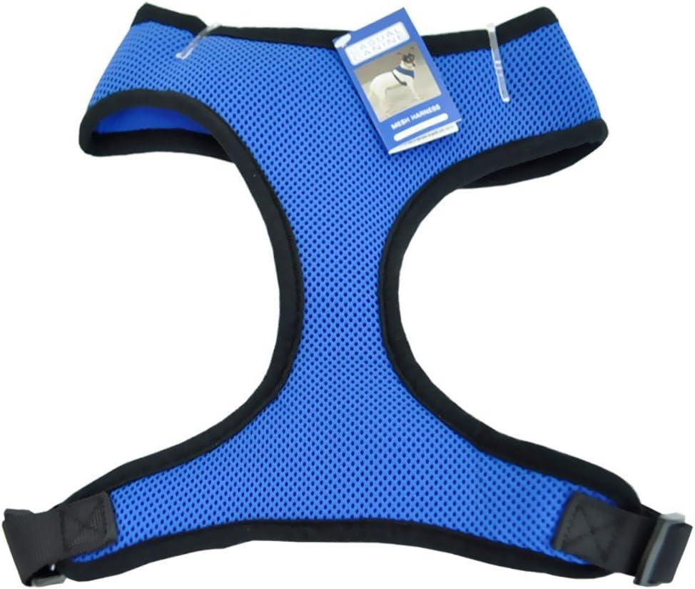 2 x Casual Canine Mesh Dog Harness, Medium, Blue