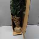 SENNOUL Small Christmas Tree with Lights,2ft Pre Lit Artificial Mini Xmas Tree for Tabletop,Outdoor,Bedroom,Office Decorations,Includes 50 Led Warm Lights,73 PVC Branch Tips,Green（Battery Operated）