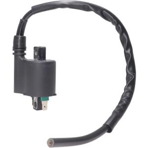 Autu Parts Ignition Coil Spark Plug for Honda ATV TRX420 TRX420FPA TRX420FPM TRX420FA TRX420FPE 2009-2013 TRX420TM TRX420FE TRX420FM TRX420TE 2007-2013 30510-HP5-601 30700-MBN-671
