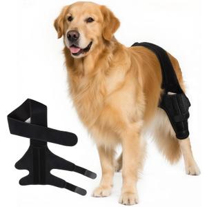 Dog Knee Brace for ACL Tear Adjustable ACL Knee Brace for Dogs Front or Rear Leg, Large