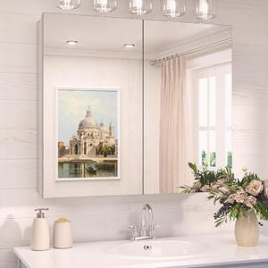 TokeShimi 30 x 26 Silver Aluminum Medicine Cabinet Mirror for Bathroom Surface Mount or Recessed with Stepless Adjustable Shelves Modern Farmhouse