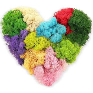 7 Oz Colored Fake Moss Preserved for Crafts Artificial Decorative Moss Faux Garden Dried Floral Forest for Terrariums Wall Decor Fairy Gardens Wedding Floral Project(Mixed Color)