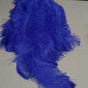 80 Pcs Large Natural Ostrich Feathers Plumes 14-16 Inch Bulk for DIY Crafts Wedding Party Centerpiece Vase