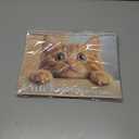 4 x 2026 Wall Calendar,Calendar 2026, January 2026 - December 2026, Wall Calendar Cat Kitten, 11" X 17" Opened,Full Page Months Thick & Sturdy Paper for Calendar Organizing & Planning