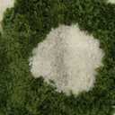 You Look Good Bath Mat Green Bathroom Rugs Funny Cute Bathroom Decor Preppy Small Cool Rug Non Slip Microfiber Washable Absorbent Shower Rug, 25x21