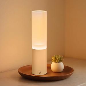 EppieBasic Cordless Table Lamp Rechargeable: Fast Charging & Long Lasting - Hollow Vase Design Color Changing - Ambient Decorative Light for Bathroom,Living Room (White)