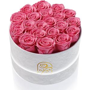 Gifts for Women Preserved Roses Flower Box, Luxury Velvet Box with 20 Roses, Preserved Flowers, Romantic Gift for Her, Wife, Girlfriend, Birthday Anniversary Christmas (Pink)