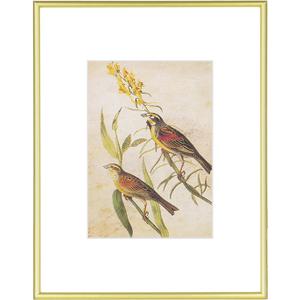 8.5x11 Picture Frame, Matte Gold Thin Aluminum Metal Photo Frame with HD Glass, Fits 5x7 with Mat or 8.5 x 11 without Mat, for Tabletop and Wall Mounting