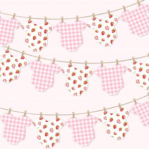 Strawberry Themed Baby Shower Bunting Banner Pink Checkered Onesie Garland with Wooden Clips for Berry First Birthday, Sweet One Party Decorations