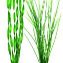 biOrb Large Green Plant Set, Colorful and Durable Aquarium Decorations