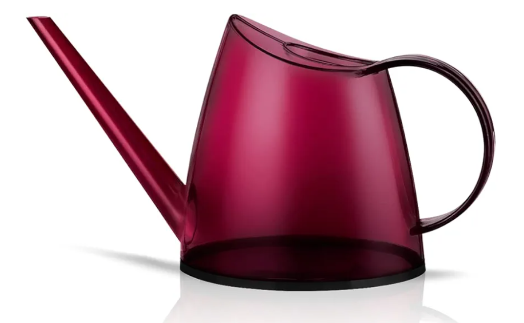 WhaleLife Indoor Watering Can for House Bonsai Plants