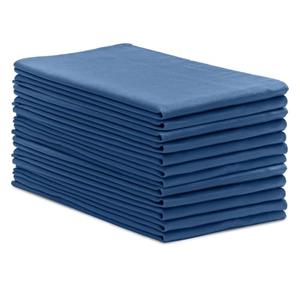 Avalon Towels Surgical Huck Towels (Pack of 12) Size 17x26 Inches, 100% Cotton Cleaning Cloths, Multi-Purpose, Perfect for Hospitals and Home (Blue)