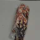 8Pcs Babys Breath Fake Artificial Flowers, Real Touch Light Coffee Color Plants Silk Flowers for Vase Home Office Wedding Spring Winter Indoor Outdoor Centerpiece Table Party Decorations (Beige Brown)