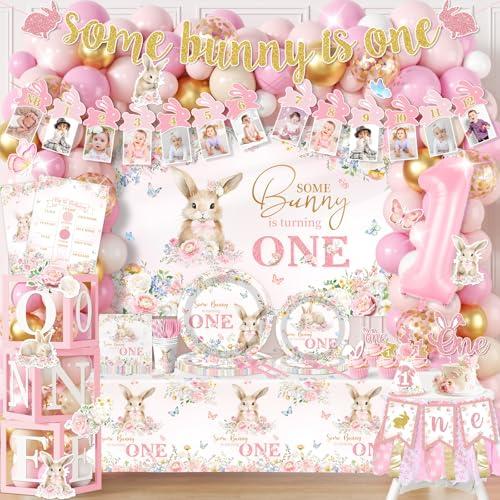 Some Bunny is One Decorations, All-in-1 Easter Bunny First Birthday Decorations Girl with Balloons Photo Banner Highchair Banner One Boxes Plates Napkins Cake Toppers Tablecloth Backdrop Easter Decor