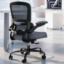 TRALT Office Chair - Ergonomic Desk Chair with Adjustable Lumbar Support, Mesh Computer Chair, Executive Chairs for Home Office Comfortable Lumbar Support (Dark Gray) (Black+grey)